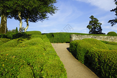 盐酸盐场地人行道叶子草地公园衬套圆圈小路植物学花园图片