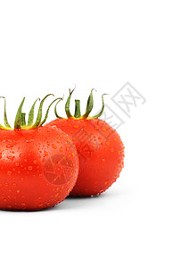 两个红番茄红色白色食物水果水平蔬菜植物绿色剪裁背景图片