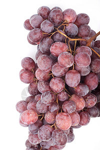 葡萄水果浆果美食季节酒厂植物茶点蓝色酿酒藤蔓图片