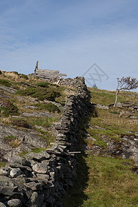 照片来自挪威游客景观树木目的地荒野风景天空峡湾蓝色森林图片