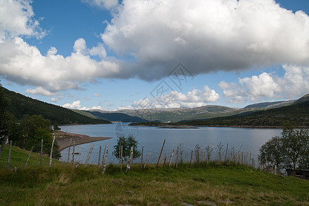 照片来自挪威树木峡湾瀑布游客目的地景观风景天空森林荒野图片