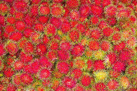拉姆布丹 热带水果收成食物种子异国头发情调植物红色季节营养图片
