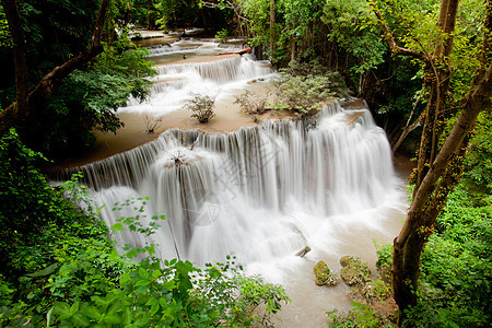 热带热带雨林瀑水水景叶子丛林飞溅冒险旅行假期公园衬套全景图片