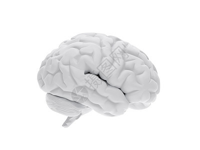 3D人脑分层插图神经白色手术生物学知识科学智力外科图片