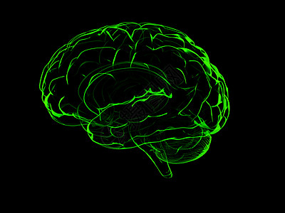 3D人脑外科神经感官保健医疗生物学知识断层插图科学图片