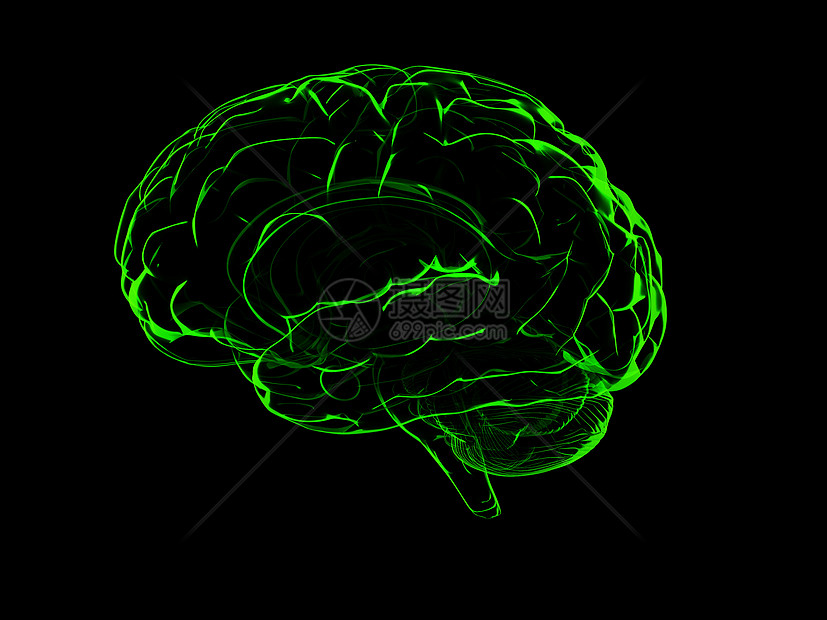 3D人脑外科神经感官保健医疗生物学知识断层插图科学图片