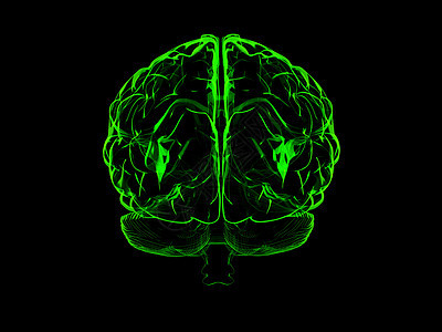 3D人脑外科感官医疗专注白色裂片神经风暴智力生物学图片