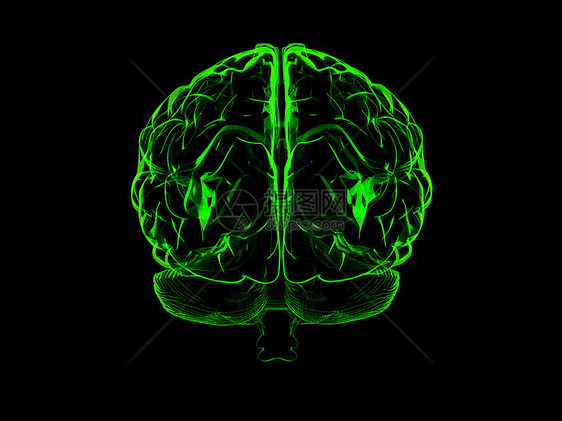 3D人脑外科感官医疗专注白色裂片神经风暴智力生物学图片