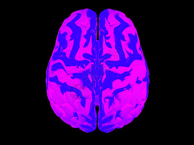 3D人脑白色智力保健思考专注智慧知识分层卫生知识分子图片