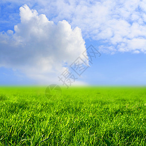 天空草地牧场国家植物阳光蓝色天气城市农场地平线季节图片