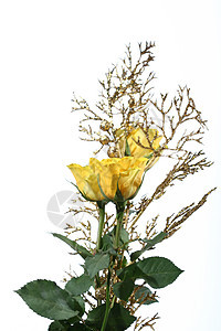 黄玫瑰玫瑰树叶花朵庆典布料风格材料叶子装饰花束图片