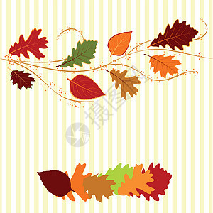 秋叶贺卡季节绿色插图季节性橙子橡木红色植物问候卡片图片