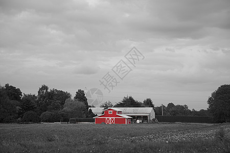 红营国家农场动物场地叶子干草田园牧场区系天空图片