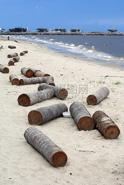 海滩上的木材海岸日落支撑浮木海岸线蓝色环境海浪阳光晴天图片