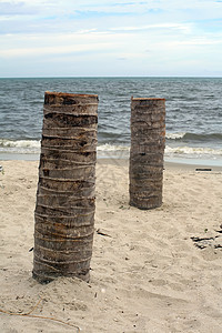 海滩上的木材环境海岸线日落天空海洋树干支撑木头蓝色阳光图片