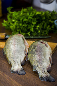 两只生鳟鱼美食钓鱼食物饮食营养尾巴午餐海鲜健康厨房图片
