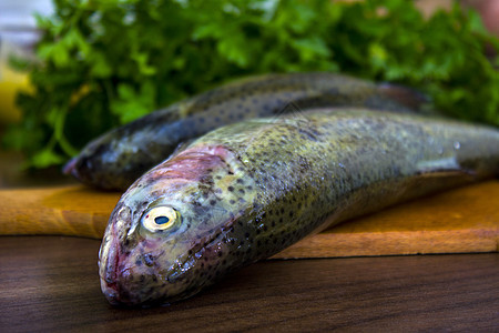 两只生鳟鱼绿色海洋美食健康厨房海鲜淡水营养钓鱼香菜图片