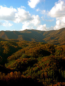 Asheville 北卡罗来纳山天空树木丘陵森林数控图片