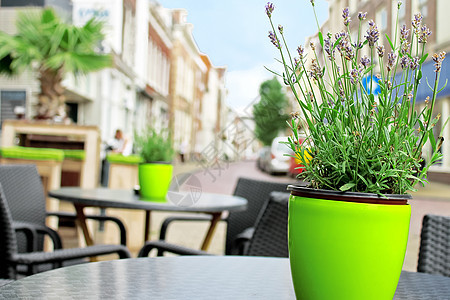 荷兰Gorinchem街咖啡厅桌边的鲜花游客人行道旅游传统文化食物城市旅行餐厅午餐图片