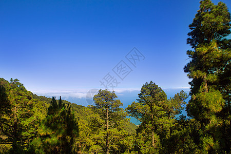 的罐头顶峰巅峰天空海拔岩石利岛岛屿悬崖松树旅行图片