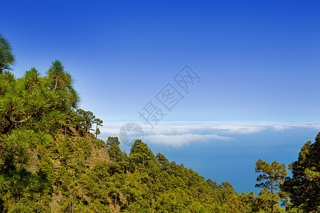 的罐头岛屿地质学土地天堂旅行火山假期松树巅峰公园图片