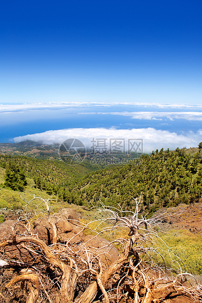 云海石头松树岩石假期火山岛屿国家利岛天堂孤独图片