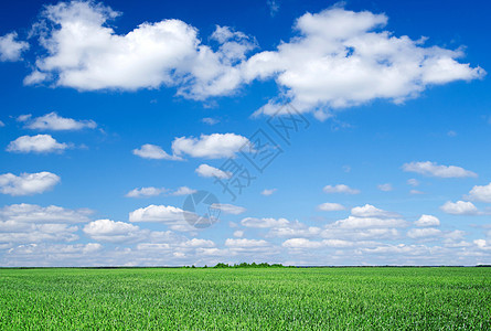 绿绿地季节地平线农场蓝色天气农村天堂远景植物天空图片