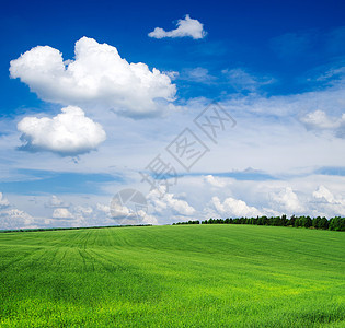 绿绿地远景植物季节太阳牧场天气阳光国家场景场地图片