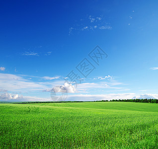 绿绿地土地阳光草原场景场地远景生长牧场农场太阳图片