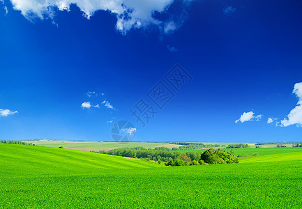 绿地和蓝天空晴天阳光土地远景地平线农场场地生长天气农村图片