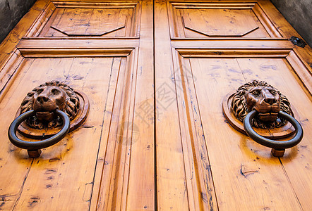 狮子头敲门人青铜黄铜门把手狮子入口戒指古董金属木头房子图片