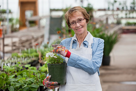 持有花盆的妇女种植园花园苗圃快乐房子店铺公民老年温室职业图片