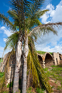 古老堡垒历史旅行棕榈柱子发掘废墟文化天空沙漠石头图片