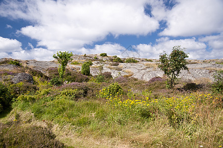 群岛岛树木天空小岛岛屿荒地旅行蓝色花岗岩岩石图片