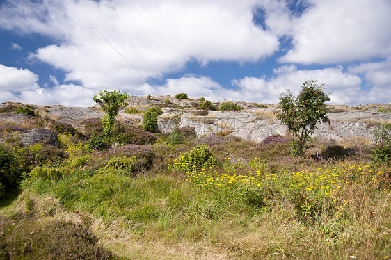群岛岛树木天空小岛岛屿荒地旅行蓝色花岗岩岩石图片