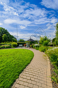 人行道植物学园艺公园叶子植物衬套小路绿色植物群花园图片