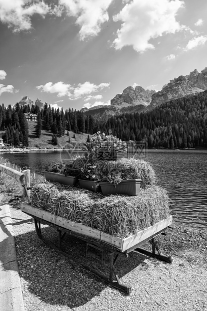 意大利夏季夏季多洛米人花花的颜色公园国家冰坡食物首脑旅行地平线高度草地旅游图片