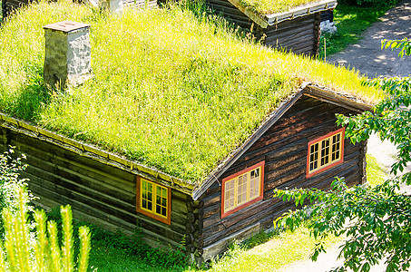草屋顶乡村住房图片