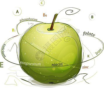 苹果树维生素和矿物图示图片