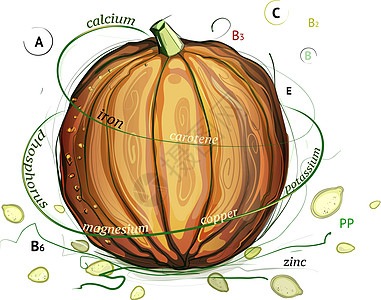 南瓜和种子维他命图片