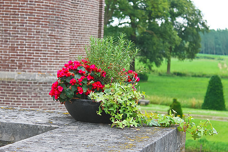 荷兰 Heeswijk城堡的鲜花文化旅游场地历史建筑天空植物花园公园游客图片