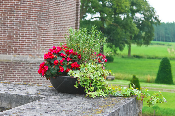 荷兰 Heeswijk城堡的鲜花文化旅游场地历史建筑天空植物花园公园游客图片