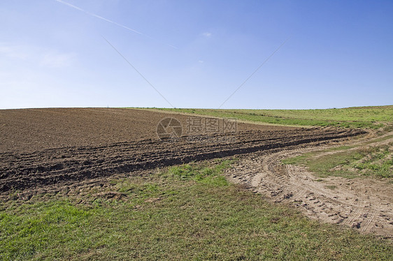 字段国家生长棕色土地绿色英亩地平线环境场景农村图片