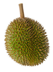 Durian 东南亚水果之王 在背景之下情调榴莲味道绿色营养荆棘饮食热带健康异国图片