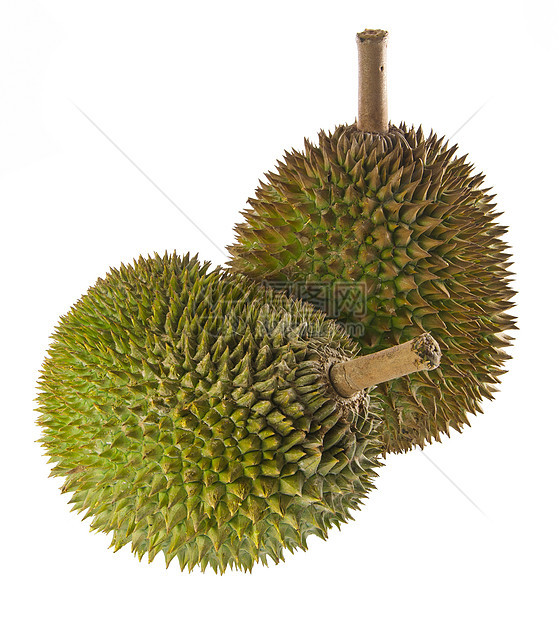 Durian 东南亚水果之王 在背景之下食物荆棘榴莲饮食营养情调绿色热带味道健康图片