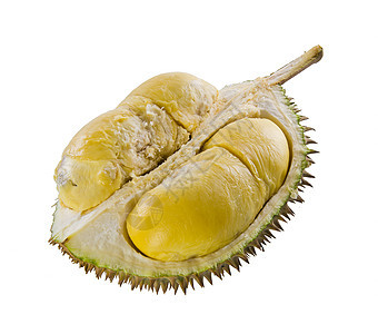 Durian 东南亚水果之王 在背景之下热带榴莲健康异国绿色情调荆棘味道饮食营养图片