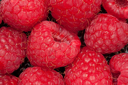 草莓肥料食物红色影棚节食水果图片