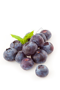 蓝莓节食背景影棚白色水果食物图片