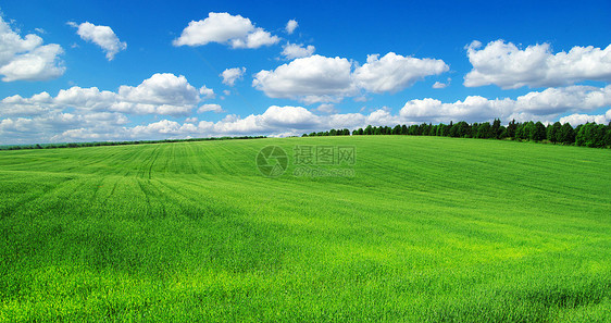 绿绿地场地天堂晴天草地农场生长天空土地太阳远景图片