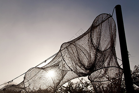 捕鱼渔网钓鱼薄雾牧歌露珠渔业阴霾海岸太阳图片
